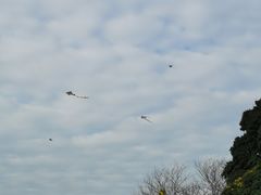 -风云岭森林公园