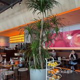 朵拉不是娃娃，朵拉是我爱吃的韩餐