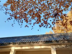 -西安市纺织公园