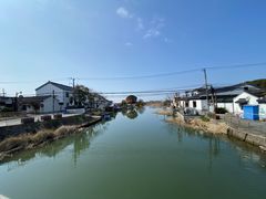 -莲花岛景区