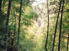 -石台牯牛降景区