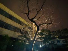 -无锡华怡明都大酒店