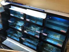 -岭南海晏楼(东晓南店)