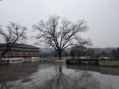 -八大处公园