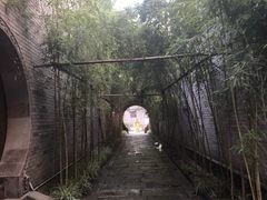 -龙潭水乡