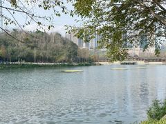 -重庆彩云湖湿地公园