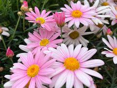 -今鲜源大酒店·中华餐饮名店(新湛路店)