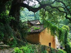-杨家堂村