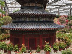 -南宫五洲植物乐园