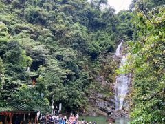 -鼎湖山风景区