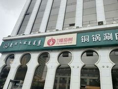 -清真·噃茄树黄柿子火锅