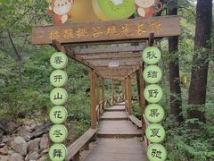 -大岭沟猕猴桃谷风景区