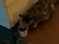 -启德考培雅思托福留学(香洲校区)