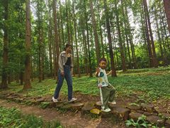 -黄海国家森林公园