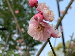 -扬州瘦西湖汇金酒店