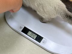 -瑞鹏宠物医院·夜间急症·心超·猫科(祖庙分店)