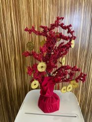 -比华利美容医院