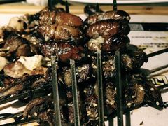 -枪火串烧·东北特色烧烤(罗湖总店)