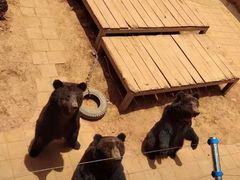 -昆明动物园