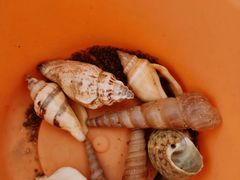 -千龙湖生态旅游度假区