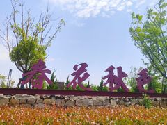 -春花秋色城市公园