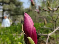 -鹫峰国家森林公园