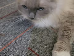 -零纪元VR体验馆·桌游(黄浦店)