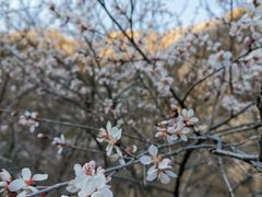 景点-北京灵山风景区