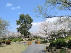 -径山花海