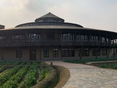 -乌村