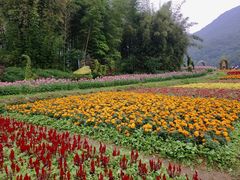 -广州市石门国家森林公园