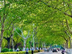 -云龙湖旅游景区