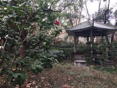 -华山儿童公园
