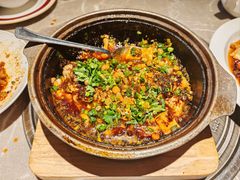 -新渝城·川菜·火锅(区庄店)