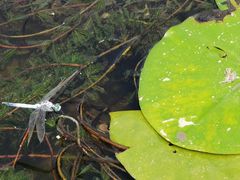 -天津东丽湖风景区