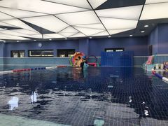 -龙格亲子游泳·水育早教运动中心(绿城店)