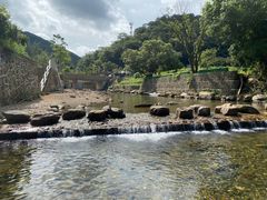 -北仑森林植物园