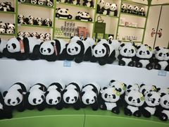 -秦皇岛野生动物园