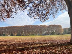 -河南省黄河迎宾馆