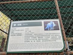 -三水森林公园