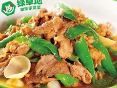-绿草地·湘菜(7mall店)