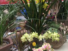 -金科花卉市场