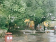 -苏堤停车场