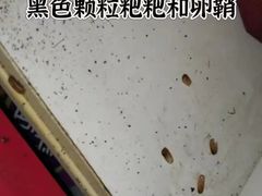 -上海久光百货