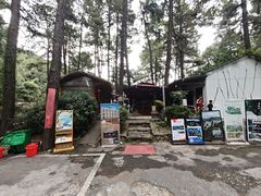 -小小饭店·休闲农庄·安吉松树林里的农家菜