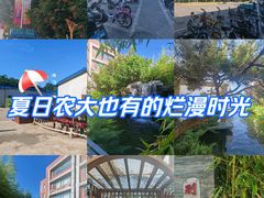 -中国农业大学(西校区)