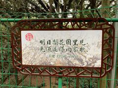 -树山生态村