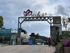 -自由生长植物工作室(深港花卉中心店)