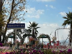 -海埂大坝