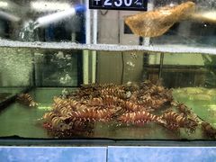 -聚鲜阁海鲜美食城(香水湾店)